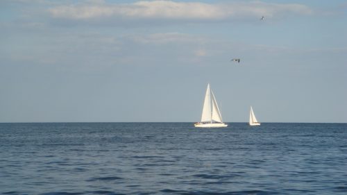 Белый парус блоггер мутный. Белый Парус в море. Парус черное море. Парус в далеке. Регата на море.